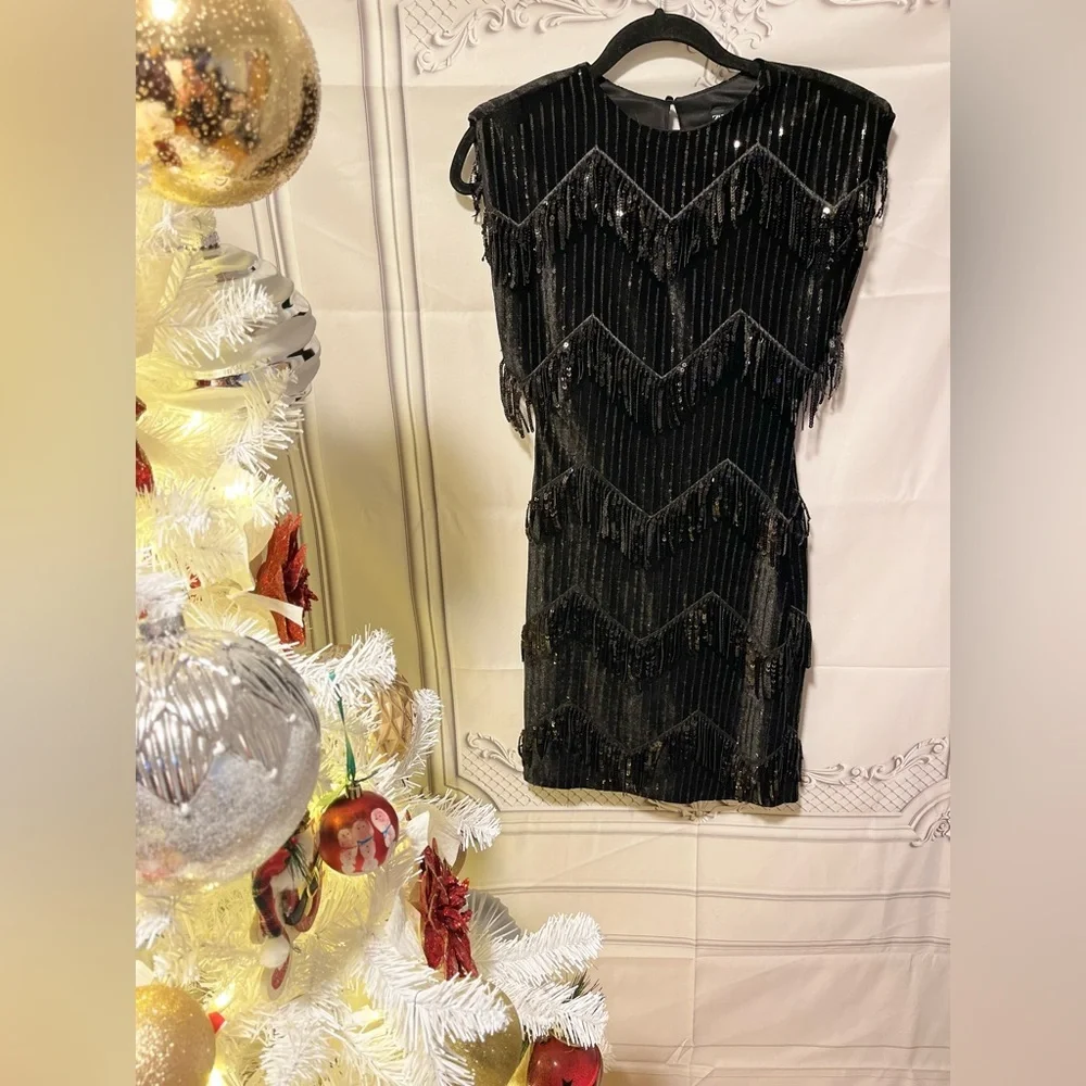 NWT ZARA  FRINGED Sequin Dress size XS AND S
🚨FIRM PRICE NO DISCOUNT - Picture 15 of 15